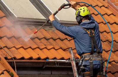 Démoussage et hydrofuge de toiture à Nesploy